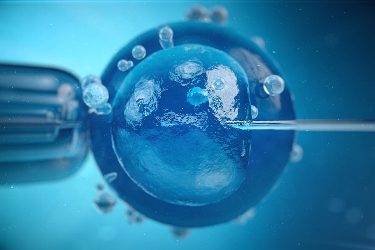 3d-illustration-artificial-insemination-fertilisation-injecting-sperm-into-egg-cell-assisted-reproductive-treatment (1)