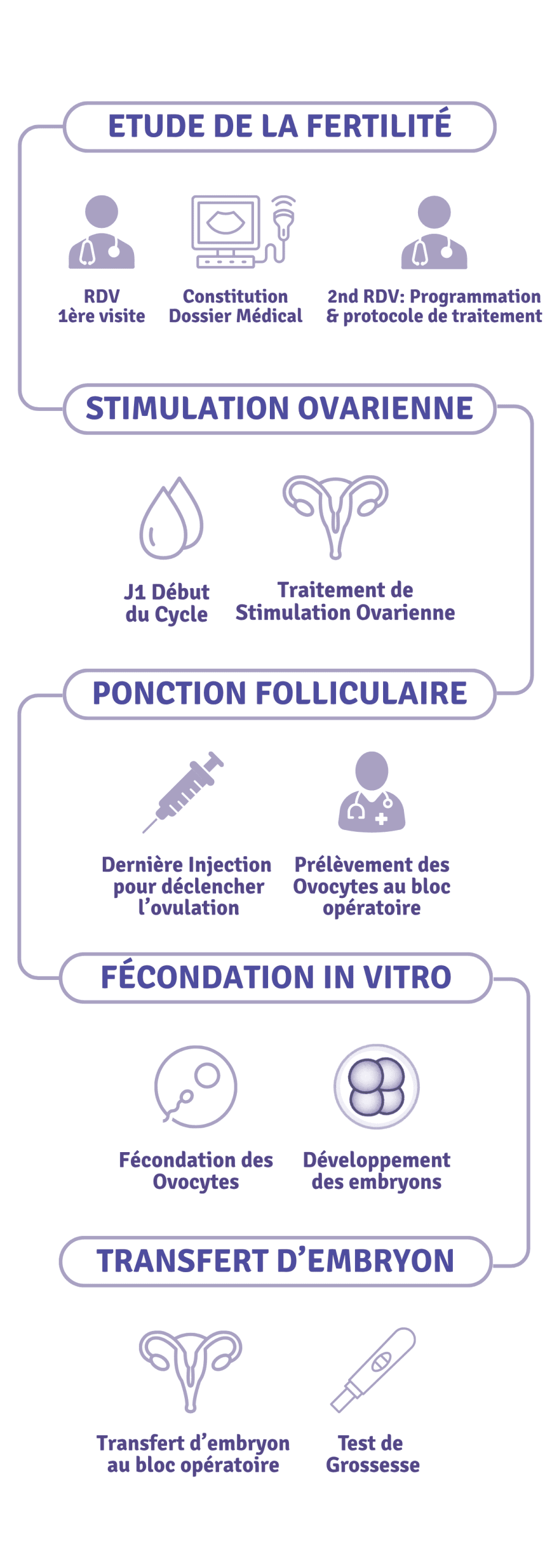 En quoi consiste le processus de fécondation in vitro?​