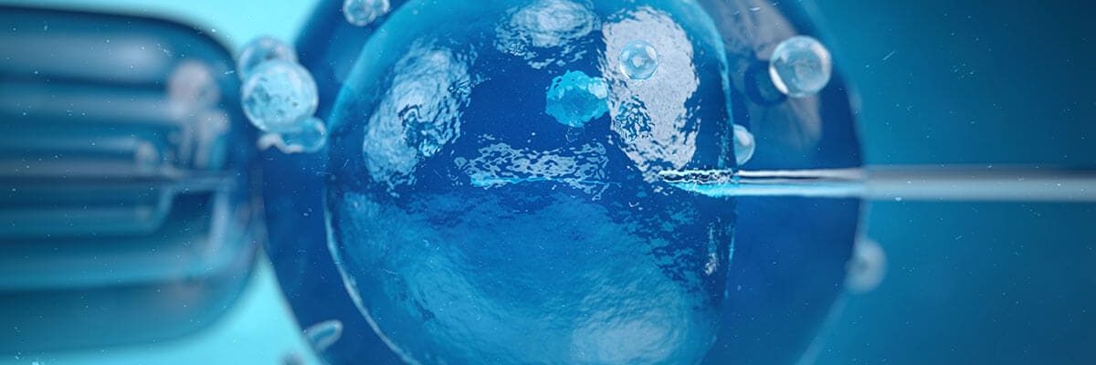 3d-illustration-artificial-insemination-fertilisation-injecting-sperm-into-egg-cell-assisted-reproductive-treatment (1)