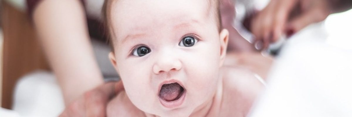 Calidad de los embriones