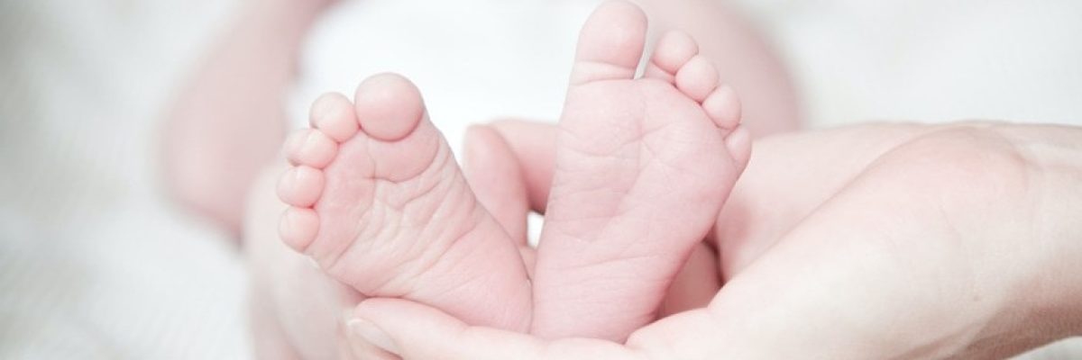 Precios de la ovodonación en España